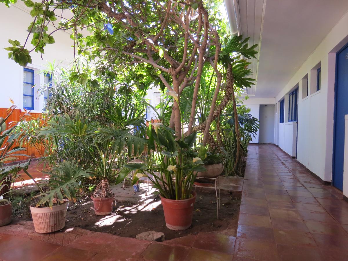Palace Hotel Copiapó Екстериор снимка